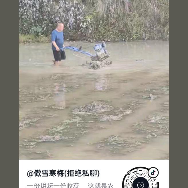 万紫千红。