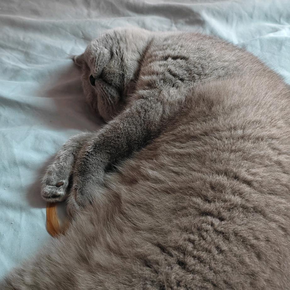 我没有西装和领带