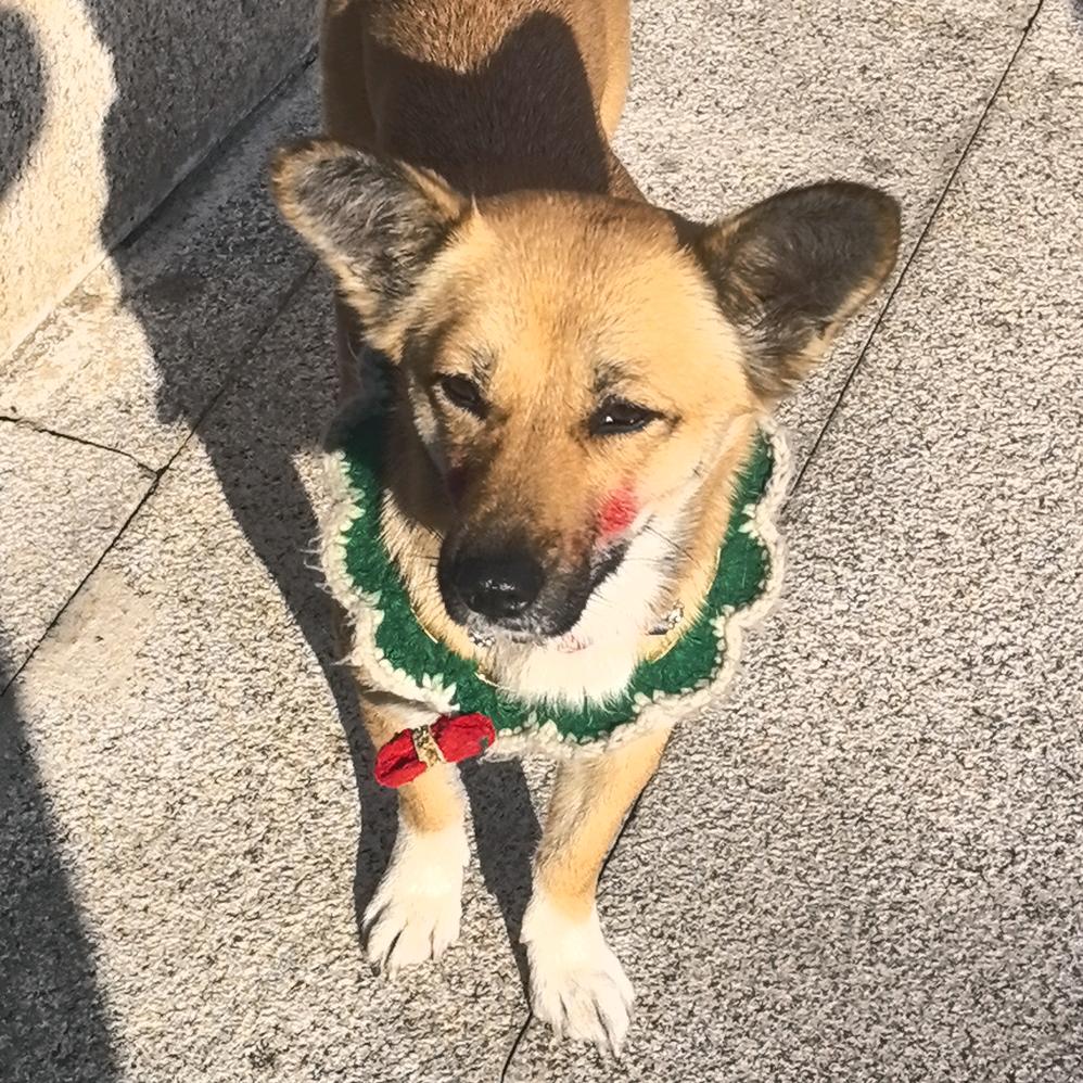 好运降林女士🙋🏻‍♀️