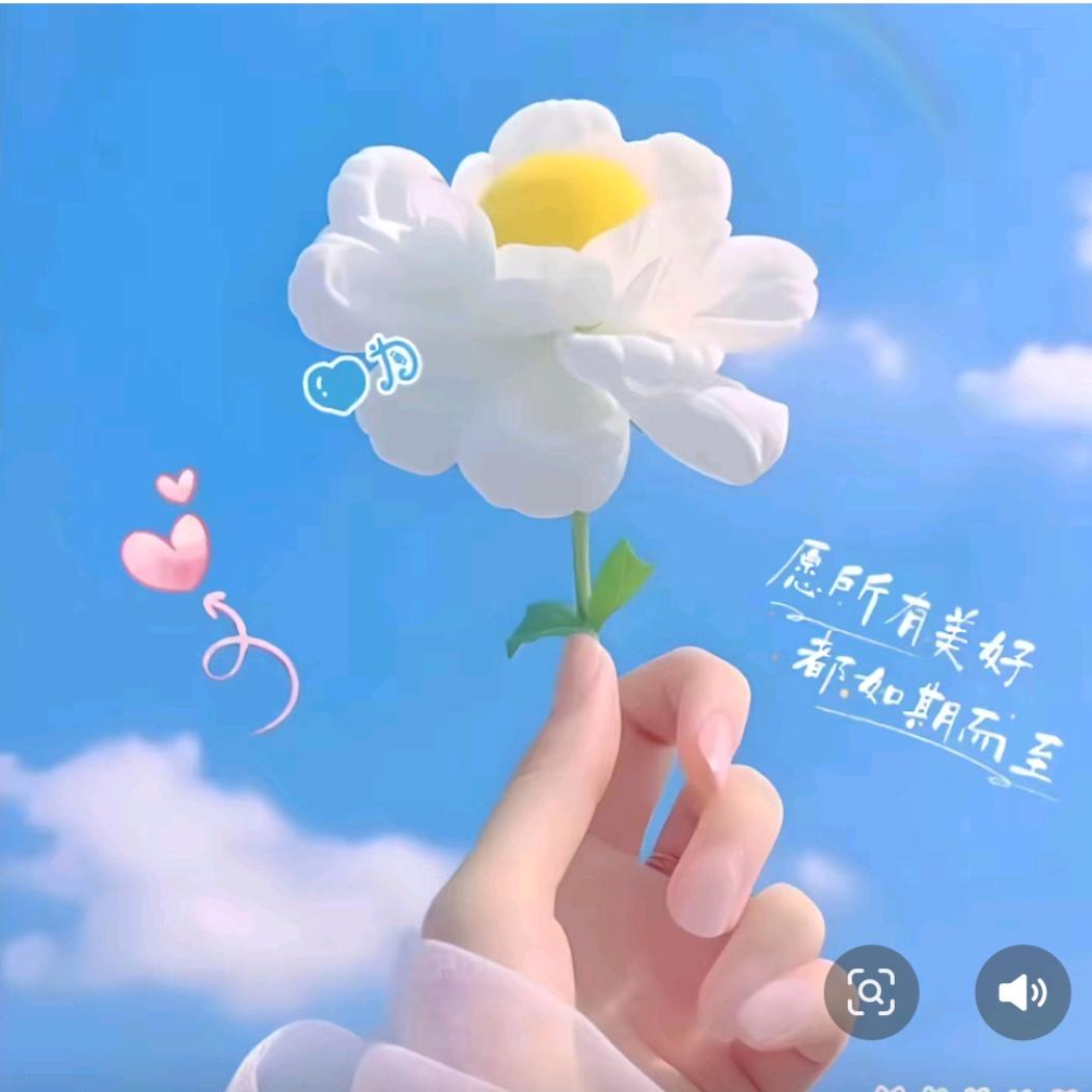 🍀糖 糖🍒