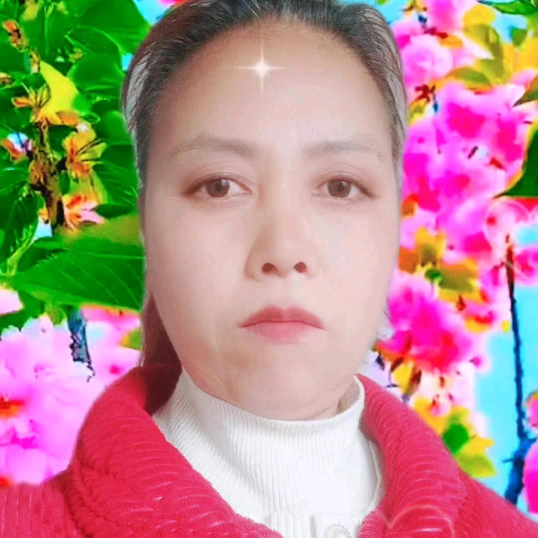 宋时飞