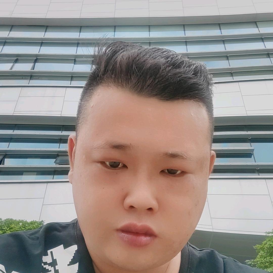 刘菲