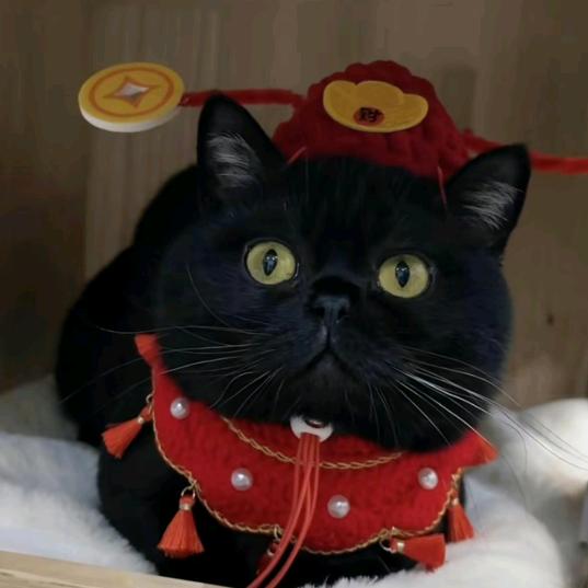 @🥀᭄人生如戏꧔ꦿᩚ亦如梦💕