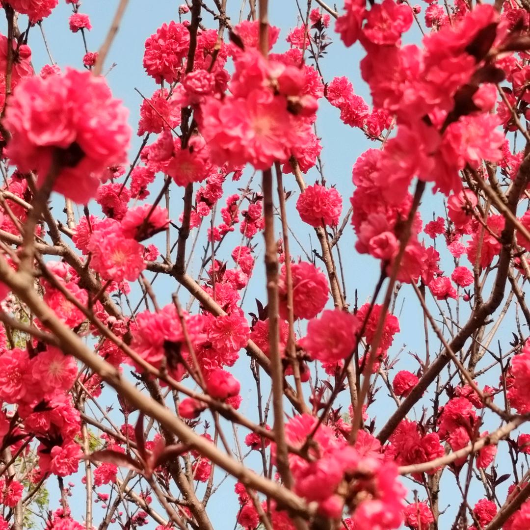 快乐每一天刘家二小姐