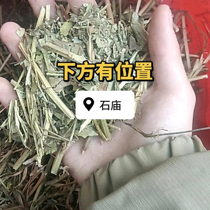 我咋天做梦梦到你了美女
