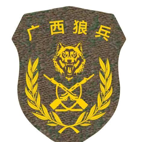 广西🐺兵励志教育