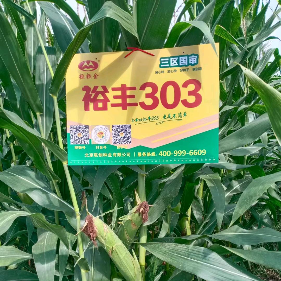 红