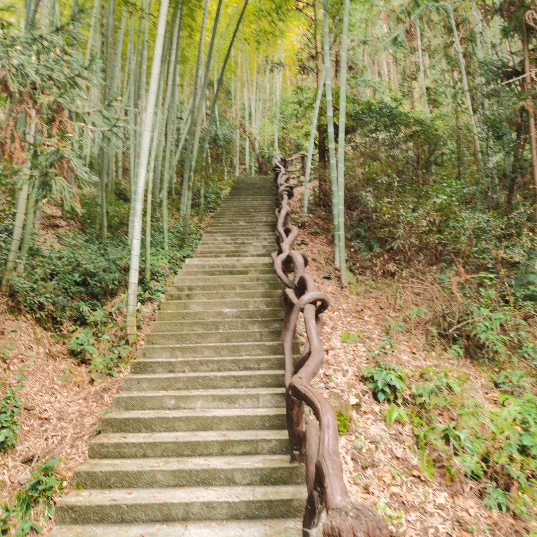 @【自由得风】