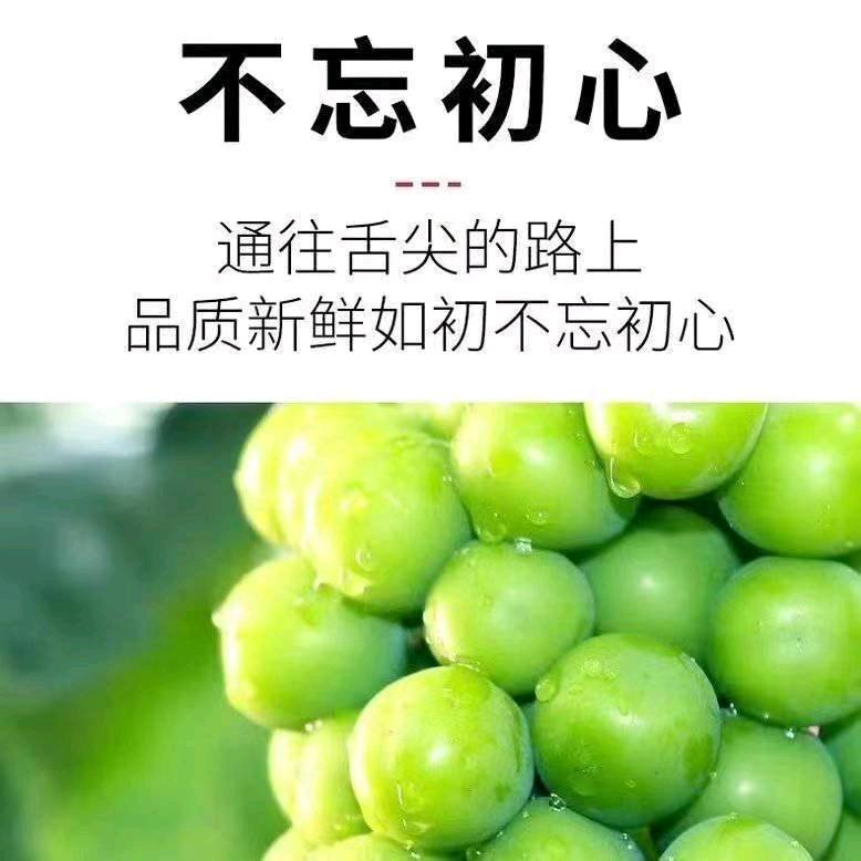 小何