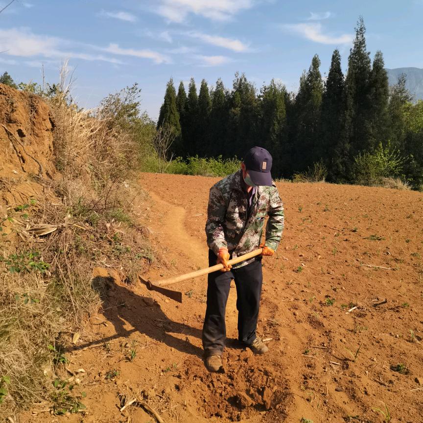 好人一生平安：出入平安