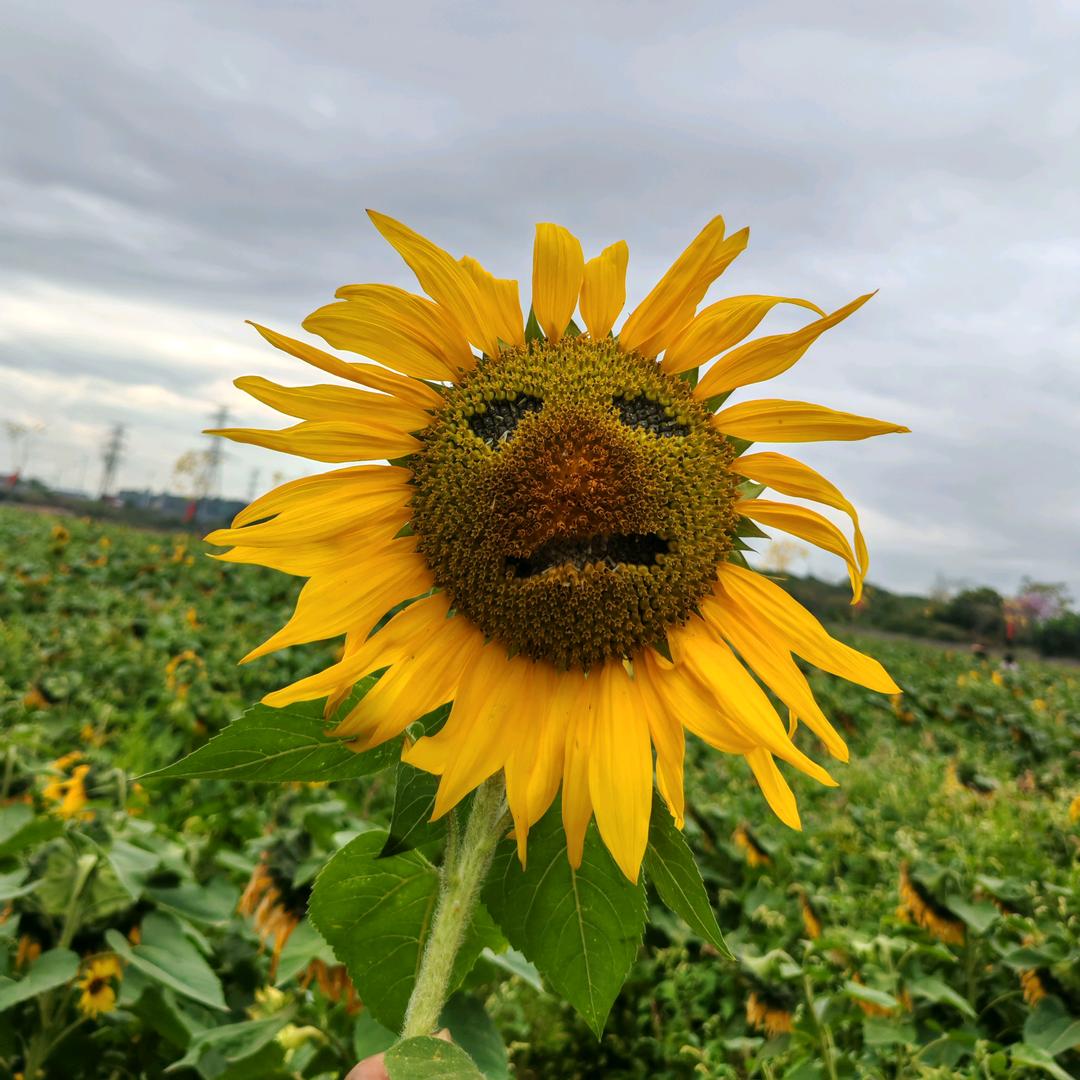 👻👻👻👻鬼魅