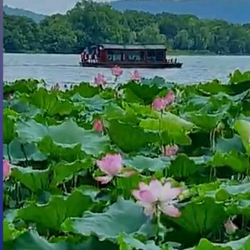 芙蓉王(农兵大舞台)