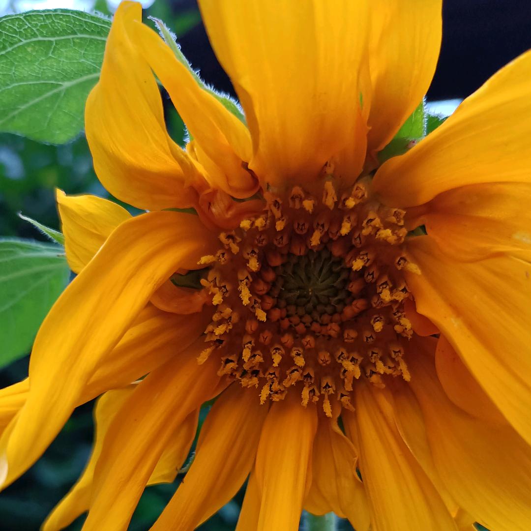 用户729736315327三妹