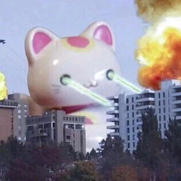 爱吃老鼠药