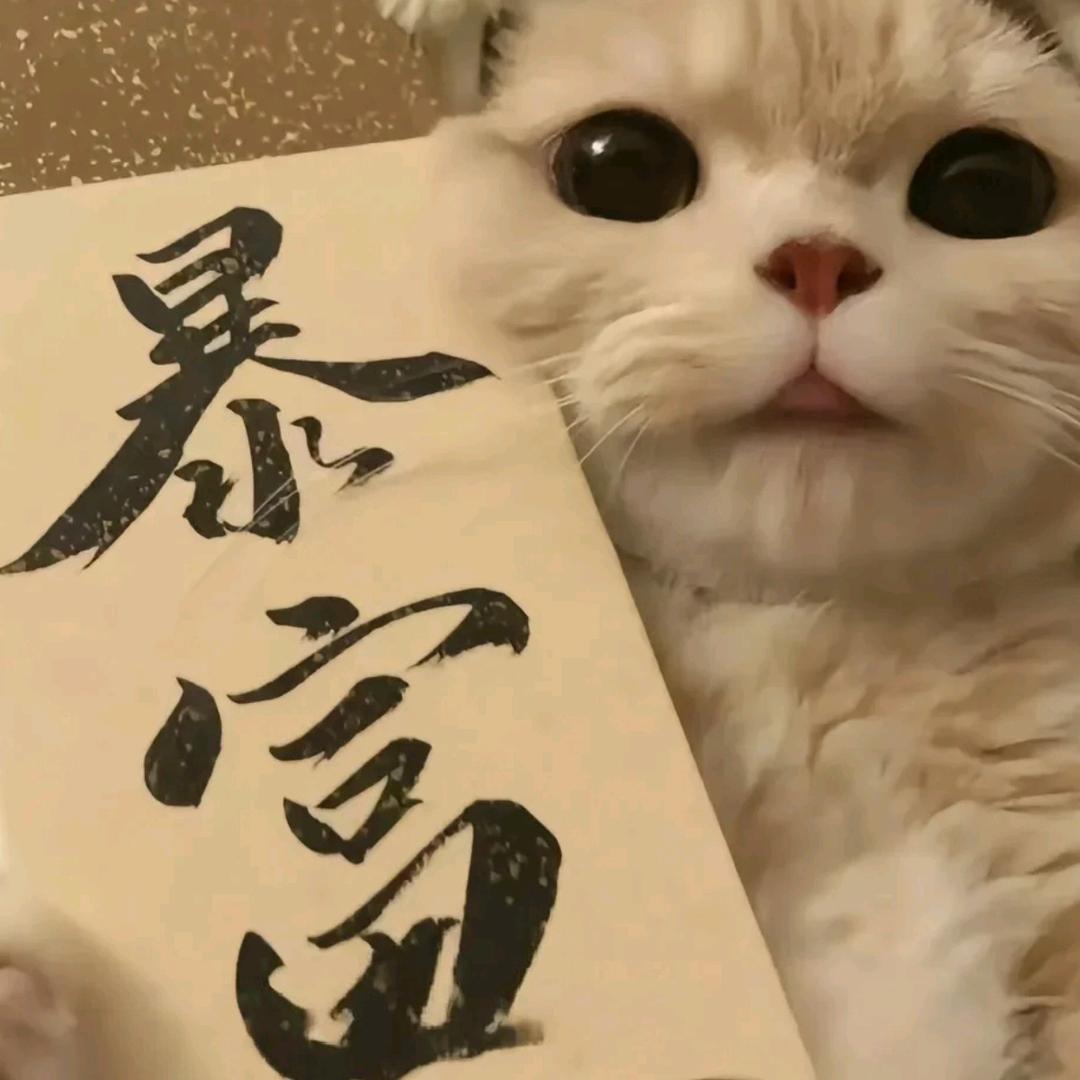 晶晶吖
