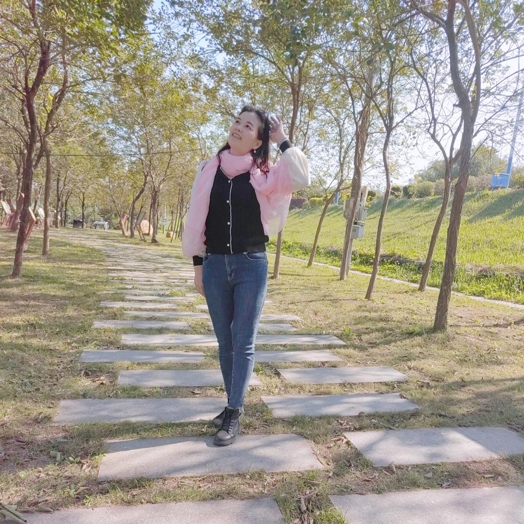 🍁🍁枫叶随风🍁🍁