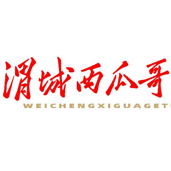 渭城西瓜哥