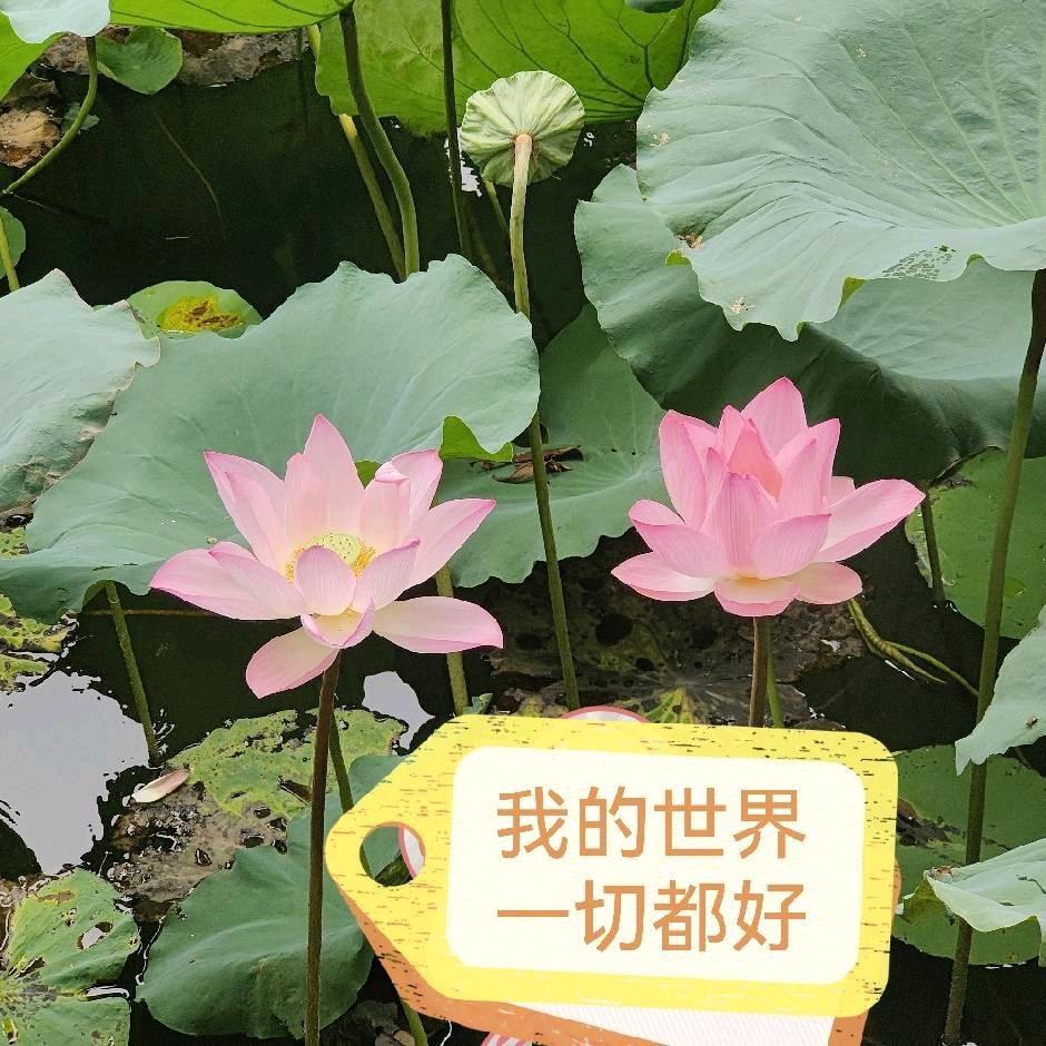 受宠