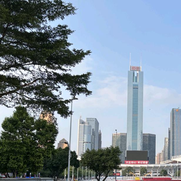 情非得已¹⁶⁸