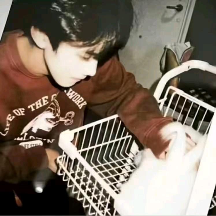 枯木