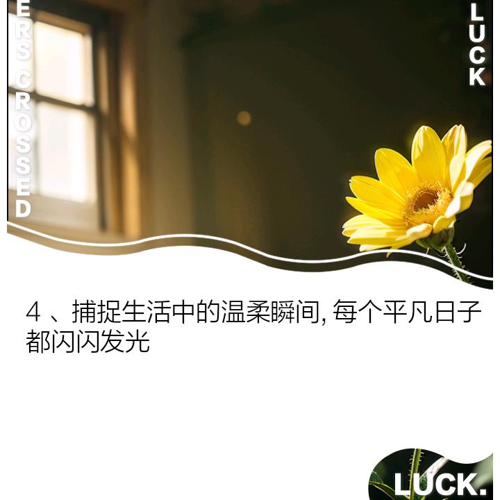 樱花之夏