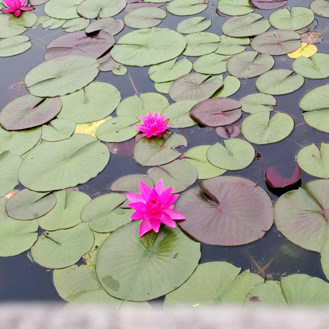 谈笑余生🧚🧚🧚🧚