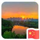 时间会遗忘一切