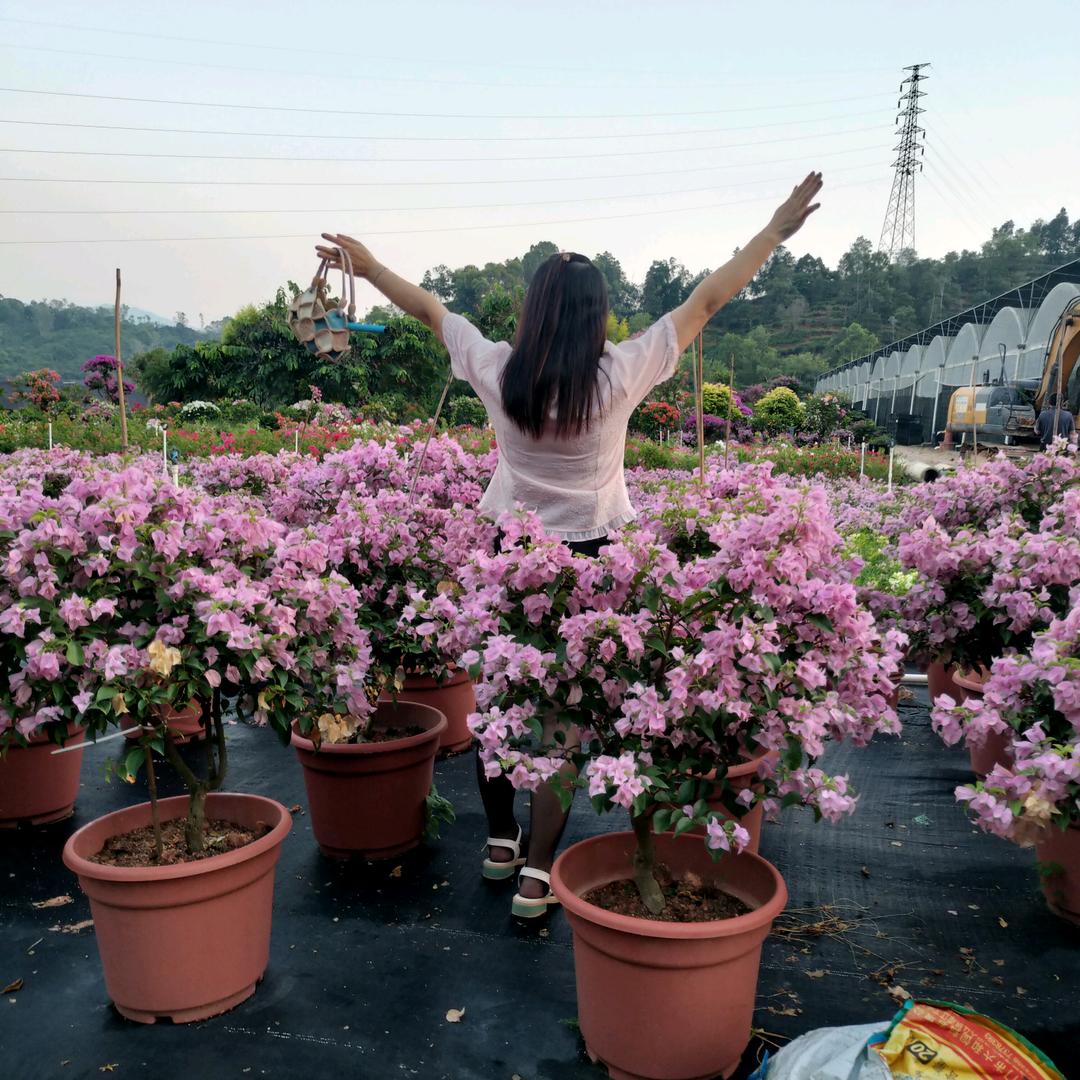 随心