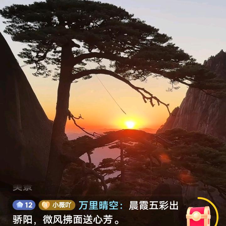 许冬