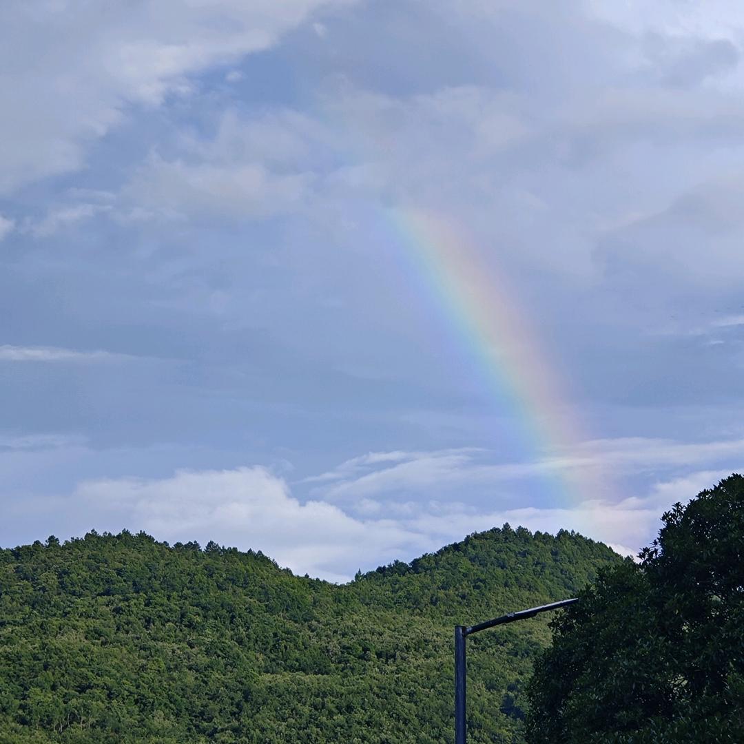彩云琉璃泡芙&屁股大王