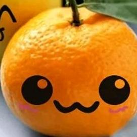 睿智の人