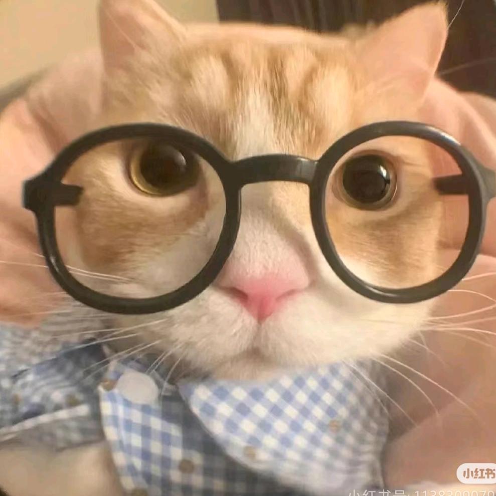 农林猫舍🐱