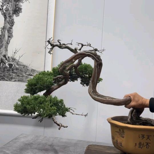 二哥渣渣桩