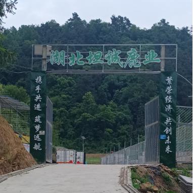 湖北坦诚工贸有限公司