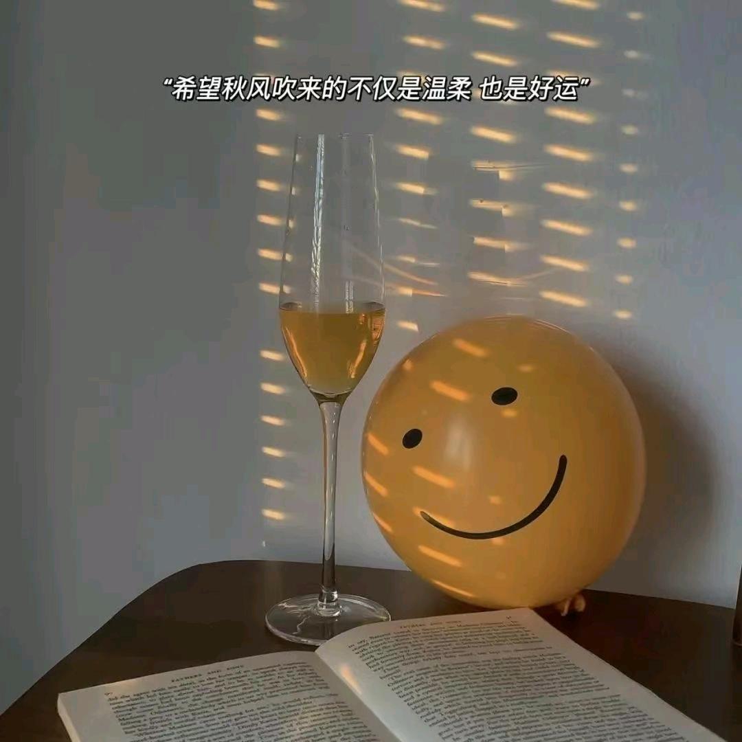 🪡重