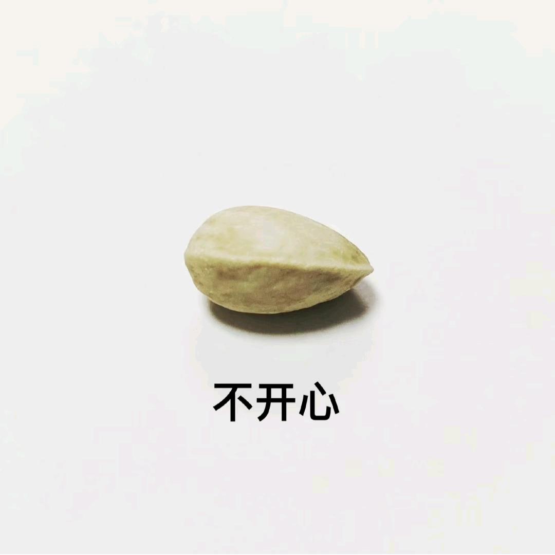 6狗