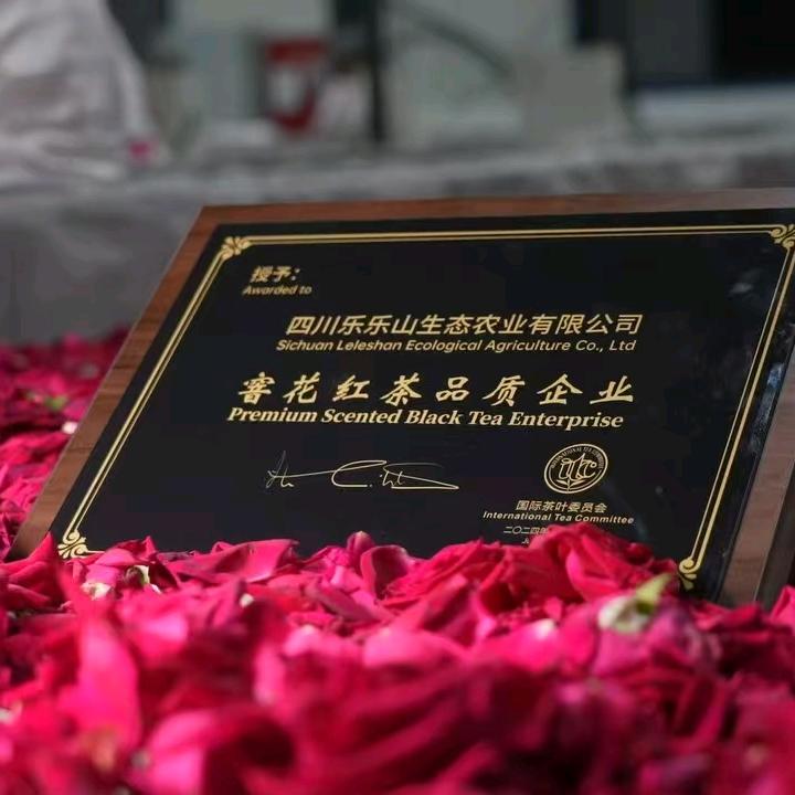 乐乐山茶业