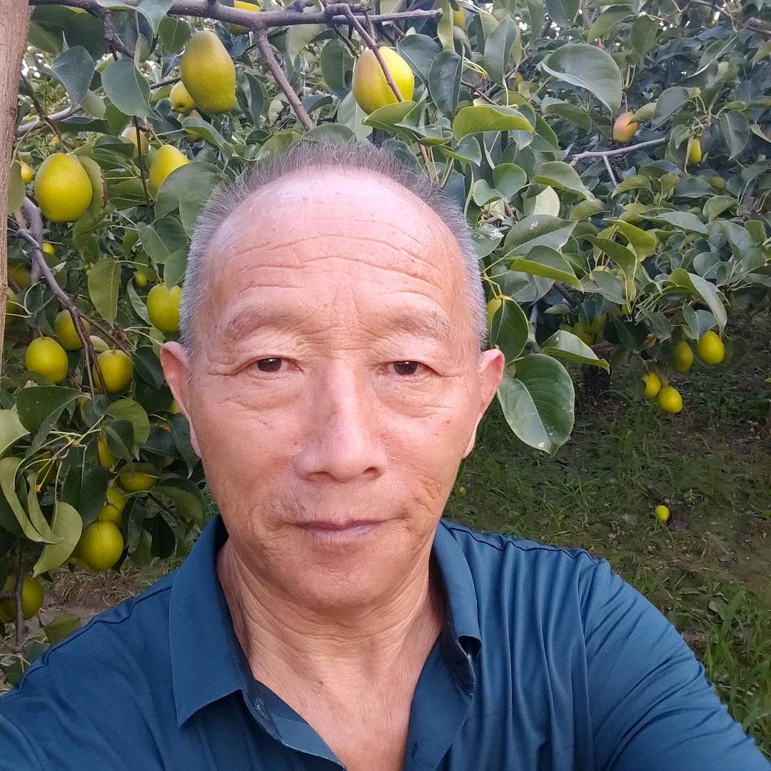 德哥
