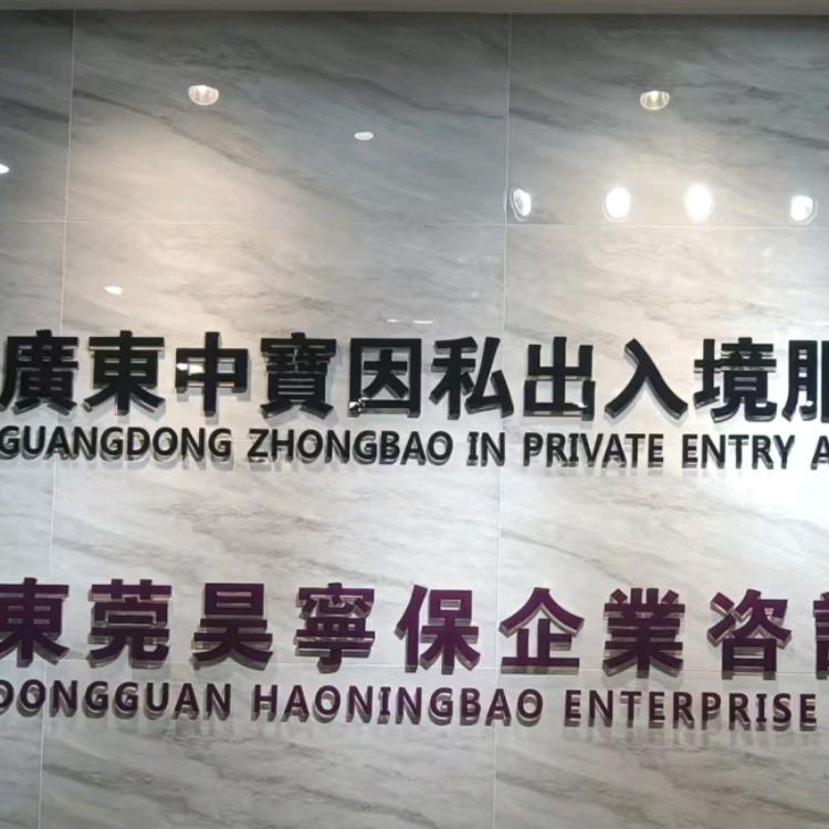 中创国际咨询