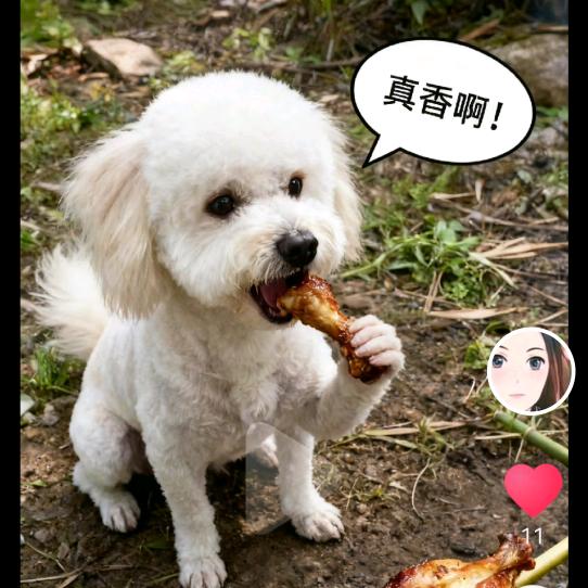 🌹💞释怀💞🌹