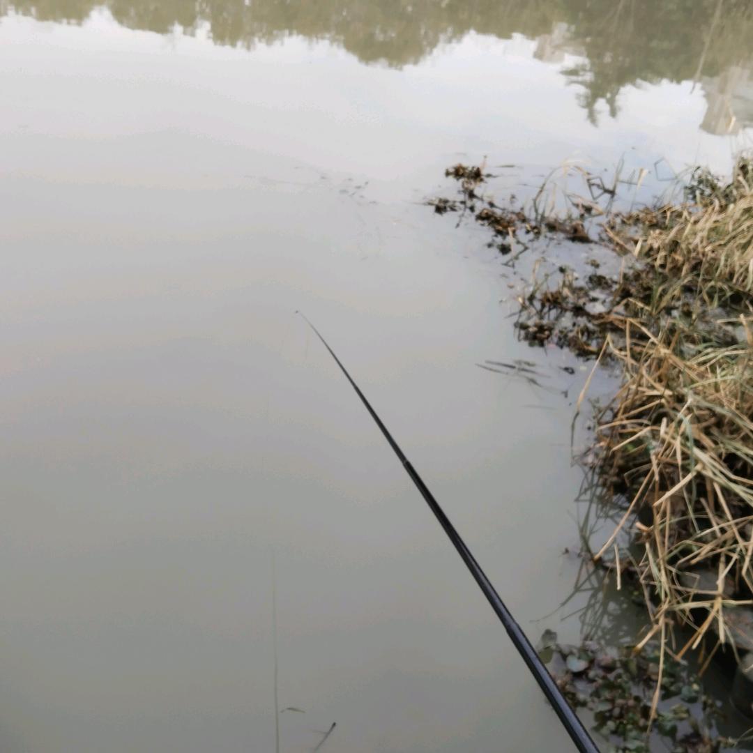 雄起（干就完了）