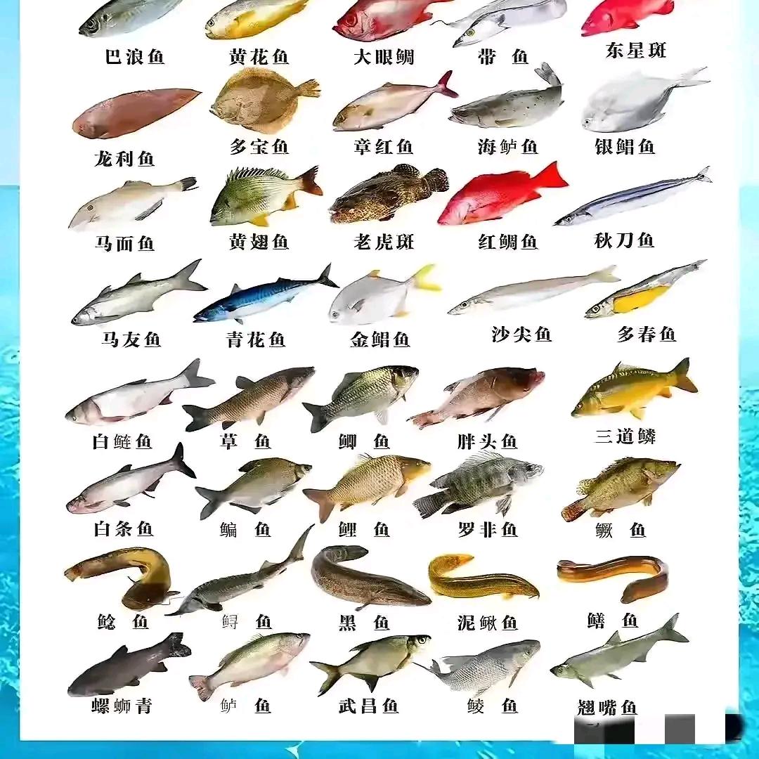 徒手摸鱼野生鱼