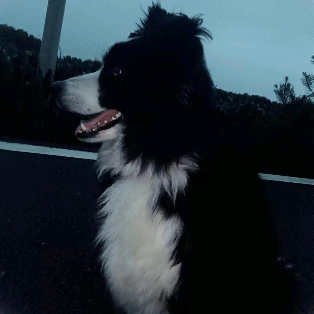 独孤户外