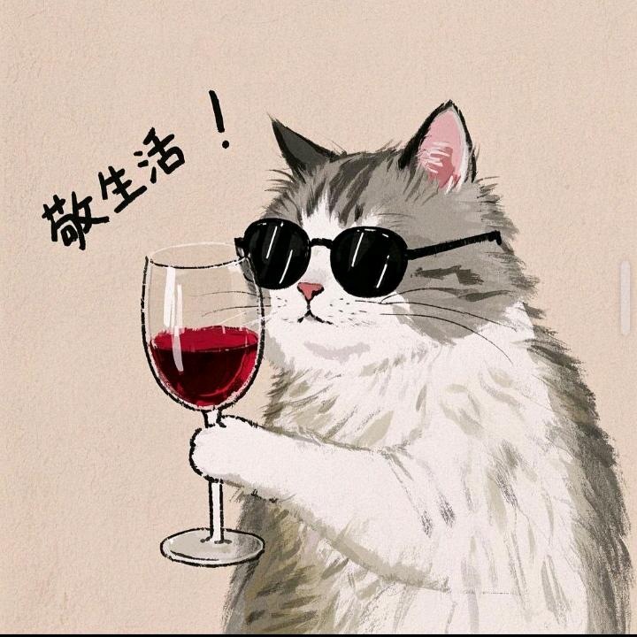 ⭐️无心的相遇