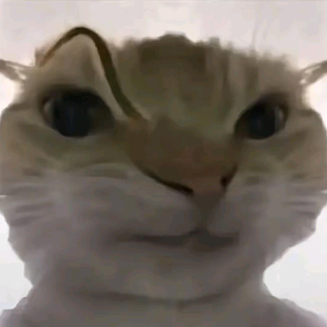 水饺凉拌电瓶车