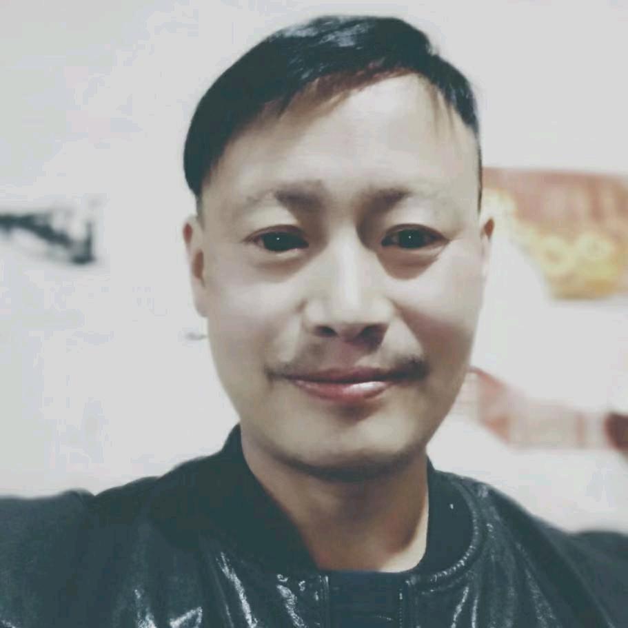张金龙