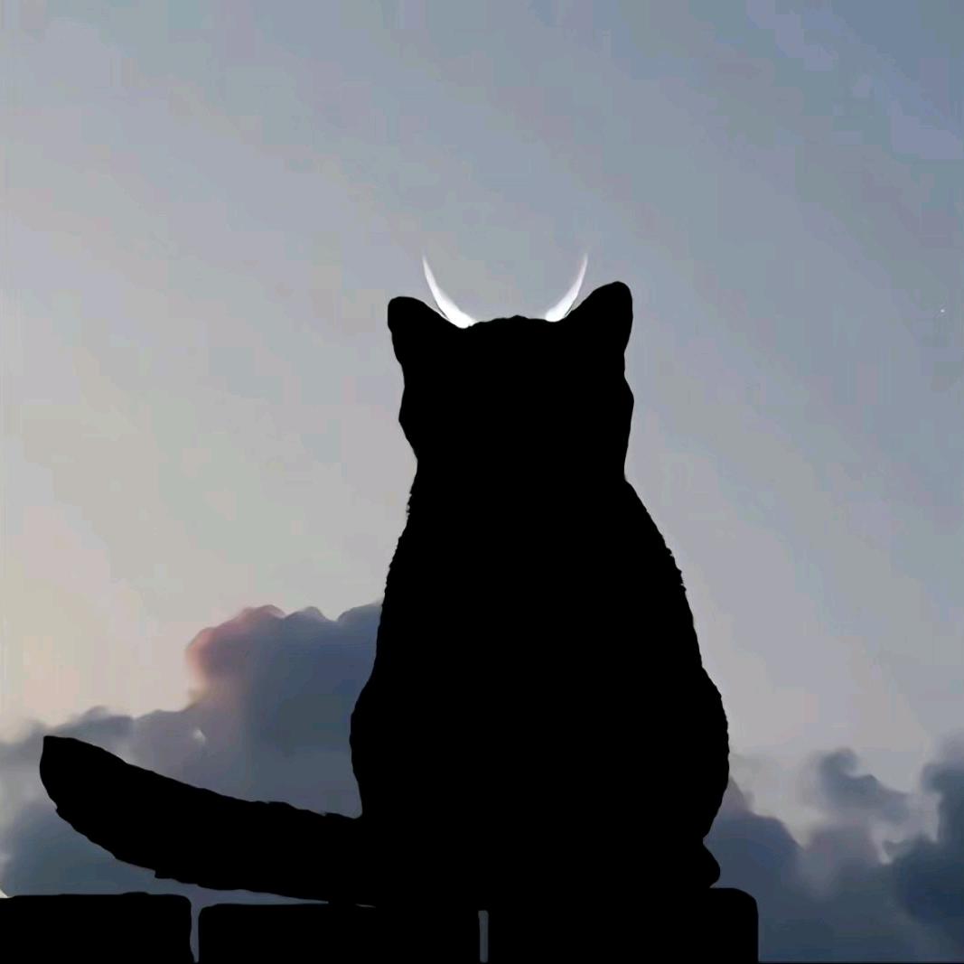Qy