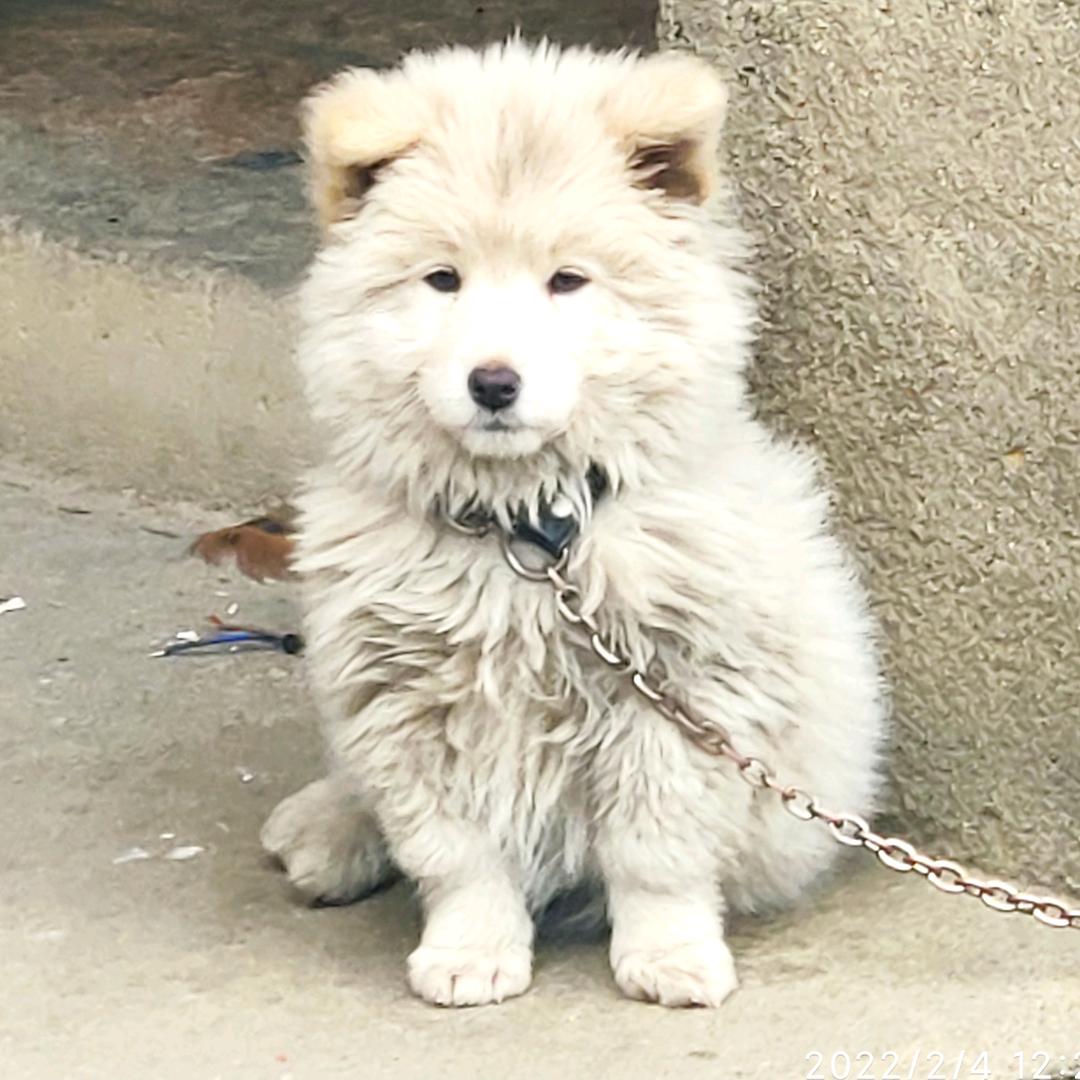 逍小遥