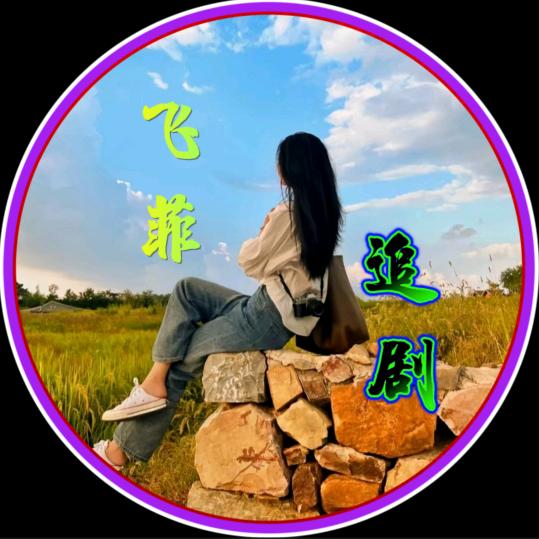 飞菲追剧