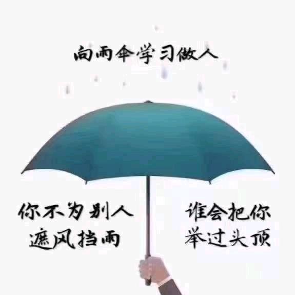 甜田圈